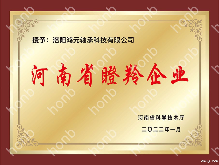 河南省瞪羚企业